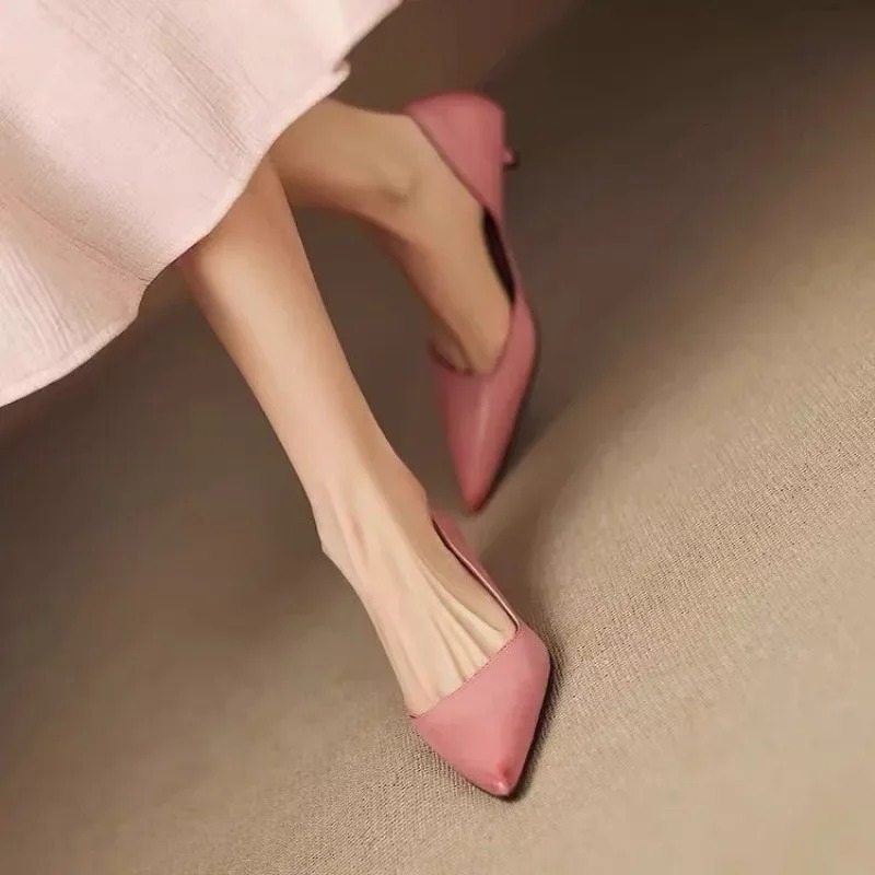 Women's Pointed Toe Stiletto H - đánh giá và giá Women'S Heels