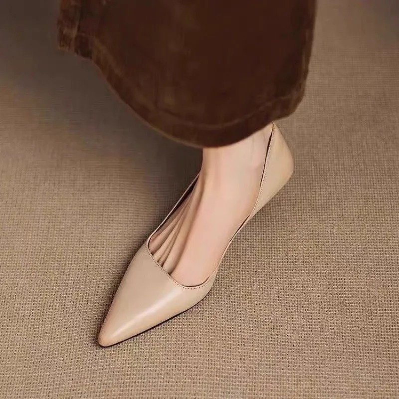 Women's Pointed Toe Stiletto H - đánh giá và giá Women'S Heels