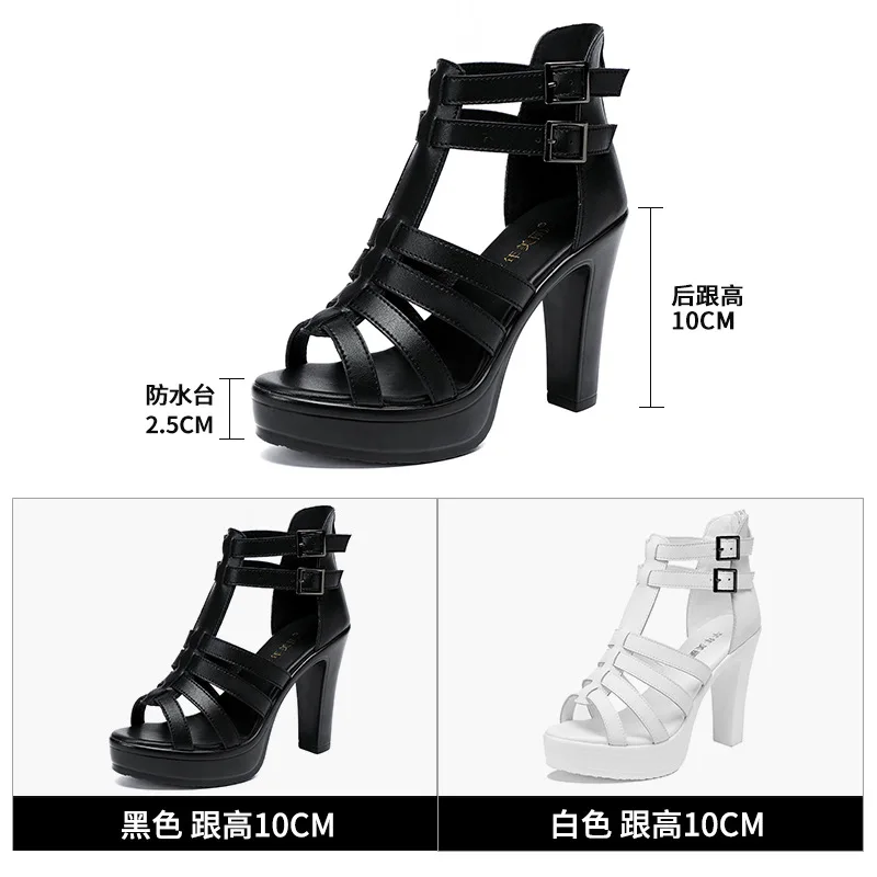 Gladiator Ladies Shoe for Wome - đánh giá và giá Women'S Shoes Peep Toe